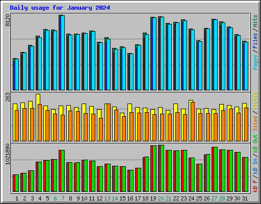 Daily usage for January 2024