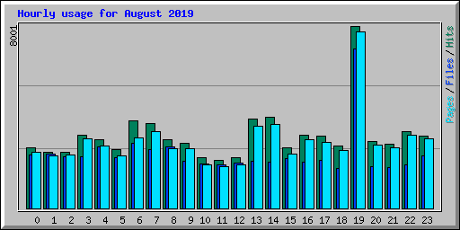 Hourly usage for August 2019