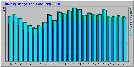 Hourly usage for February 2020