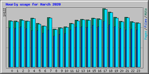 Hourly usage for March 2020