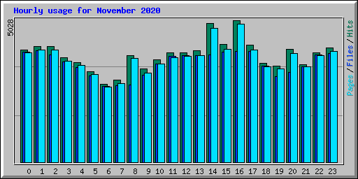 Hourly usage for November 2020