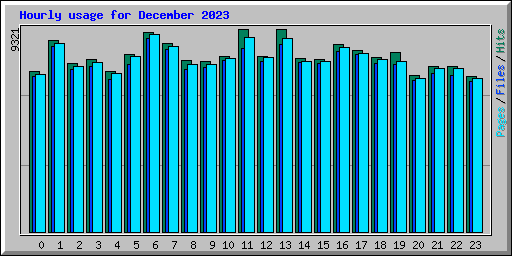 Hourly usage for December 2023