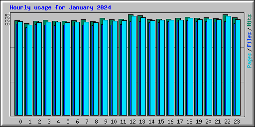 Hourly usage for January 2024