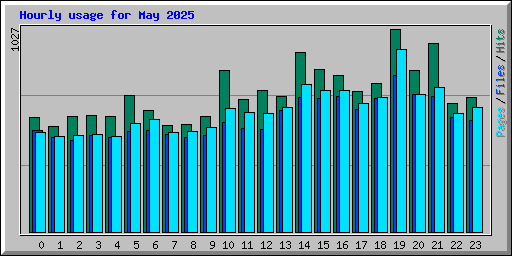 Hourly usage for May 2025