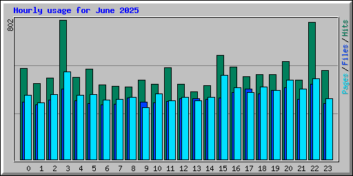 Hourly usage for June 2025