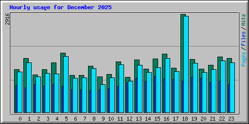 Hourly usage for December 2025