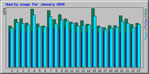Hourly usage for January 2026