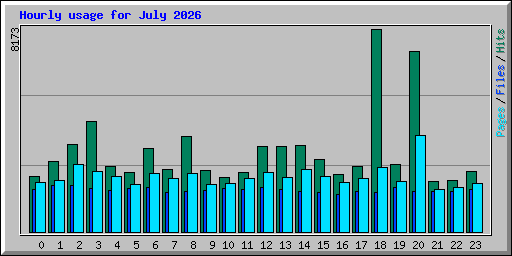 Hourly usage for July 2026