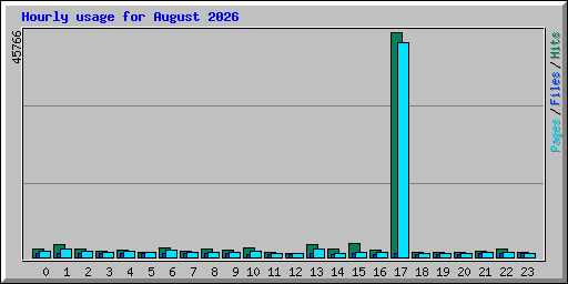 Hourly usage for August 2026